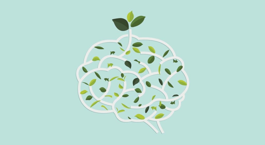 5 psychology rules every UX designer must know